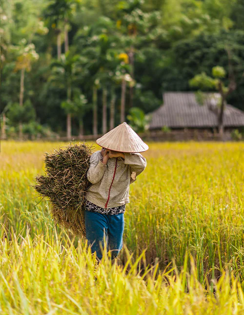 Näkymä yli Ho Chi Minhin kaupungin, Vietnam