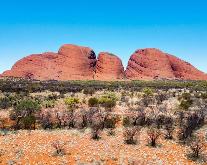 Kata Tjuta Australiassa, suuria punaisia kalliomuodostelmia kuivassa pensaiden ja puiden peittämässä maisemassa