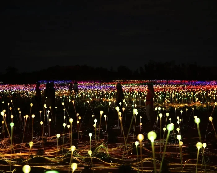 Field of Light Ulurulla Australiassa, valaistusinstallaatio, jossa tuhannet värikkäät valot loistavat aavikkomaisemassa