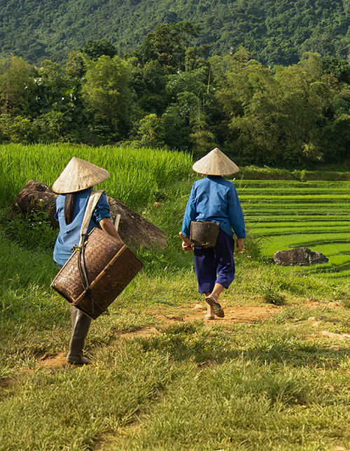 Kaksi naista matkalla riisipelloille töihin Pu Luongin luonnonsuojelualueella Vietnamissa