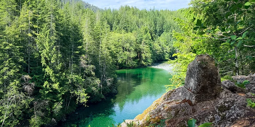 Kaunista luontoa, vehreitä puita ja joki Vancouver Islandilla Kanadassa