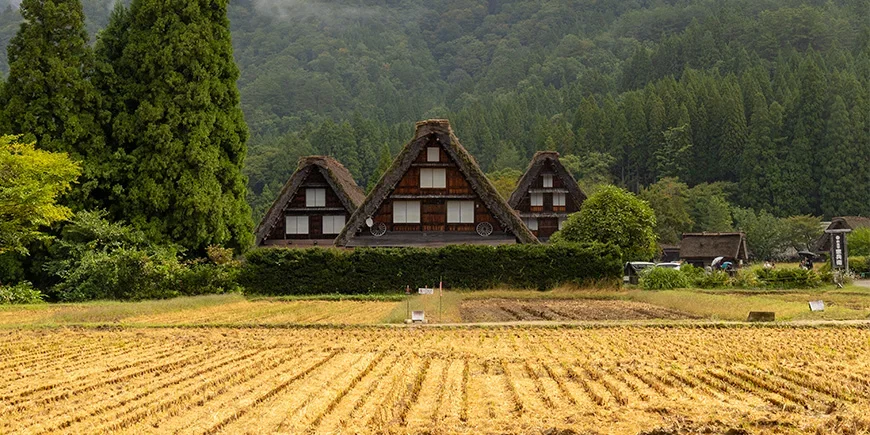 Japanin Alpeilla Shirakawa-gōssa sijaitsevat kuuluisat gassho-zukuri-talot