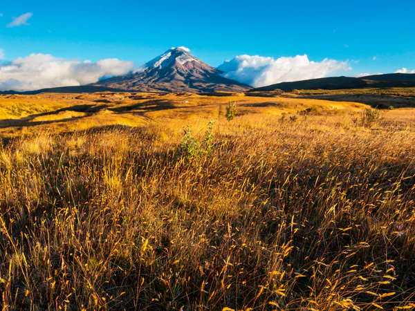Cotopaxi-tulivuori sinistä taivasta vasten