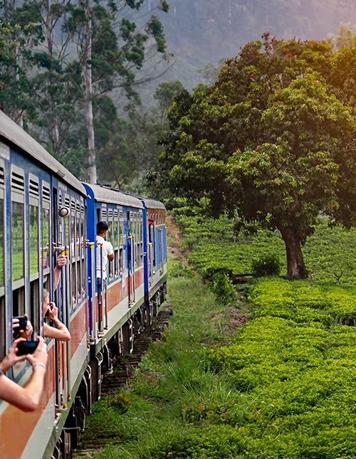 Junamatka Nuwara Eliyasta Kandyyn Sri Lankan ylängön teeviljelysten halki