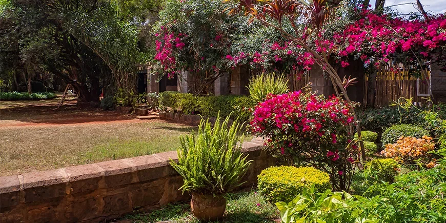 Kukkia Karen Coffee Gardenissa