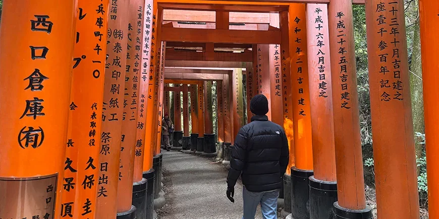 Mies kulkee Fushimi Inarin torii-porttien läpi