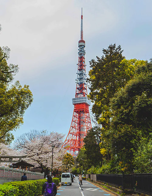 Tokyo Tower Kioton kirsikankukkakaudella, Japani