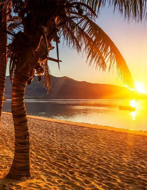 Kaunis palmuranta Mauritiuksella auringonlaskun aikaan