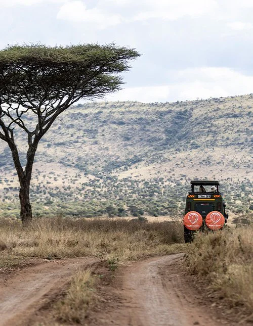 TourCompass-logolla varustettu safariauto ajaa savannimaiseman halki