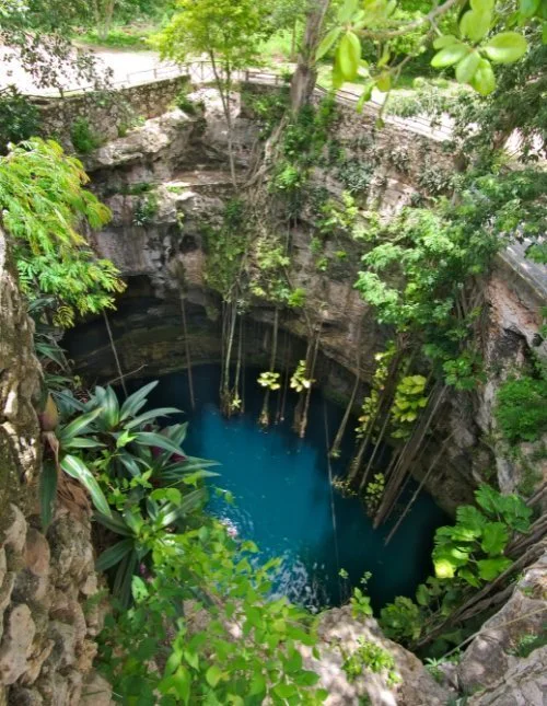 Vehreä Oxmanin cenote Meksikossa