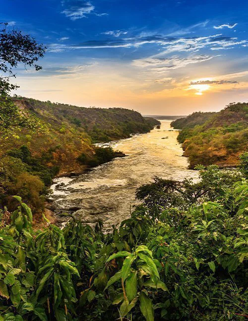 Murchison Fallsin kansallispuisto Ugandassa