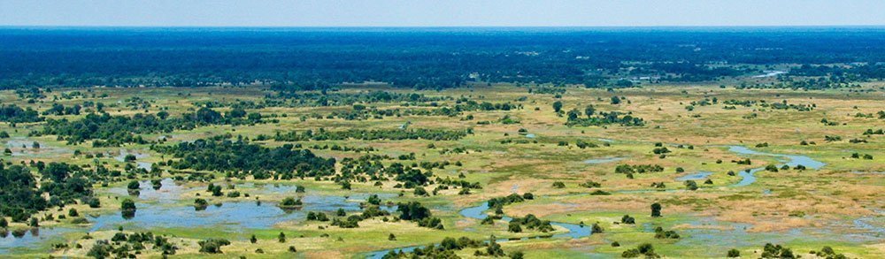 Okavango Delta set fra oven