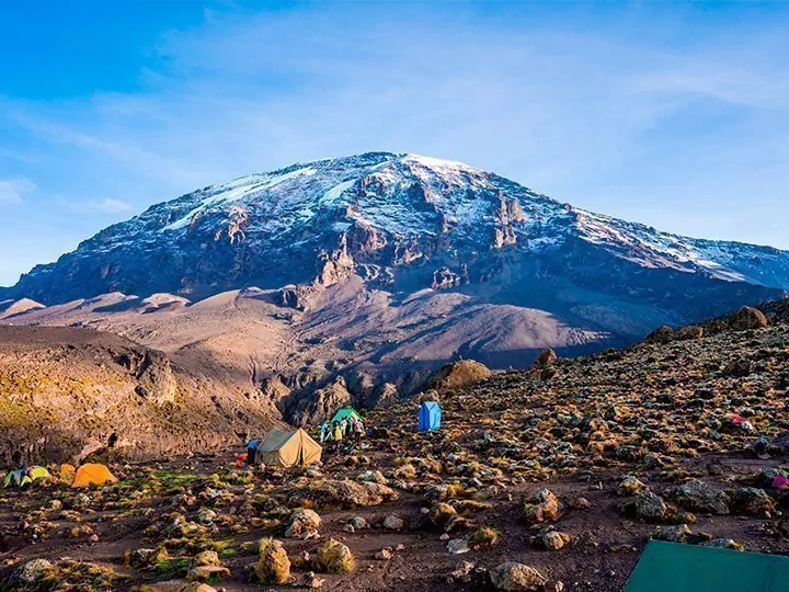 Machame-reitti & safari 2 kansallispuistossa