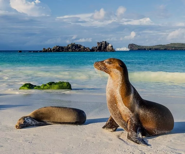 Ecuador/Galápagossaaret