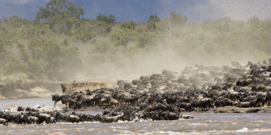 Serengeti vaellus