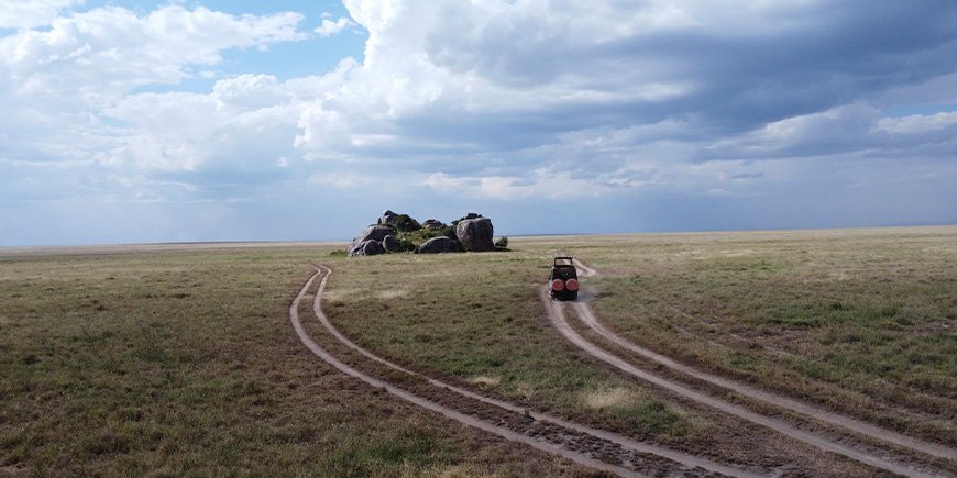 TourCompass-auton ajo Serengetin kansallispuistossa.