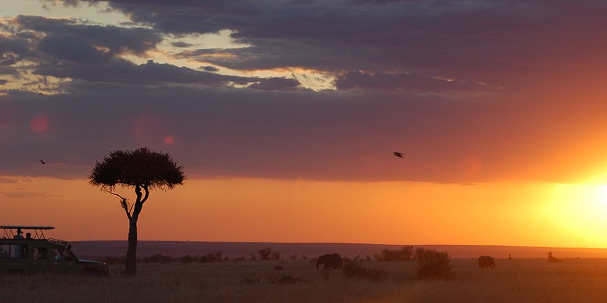 masai mara näkymätön