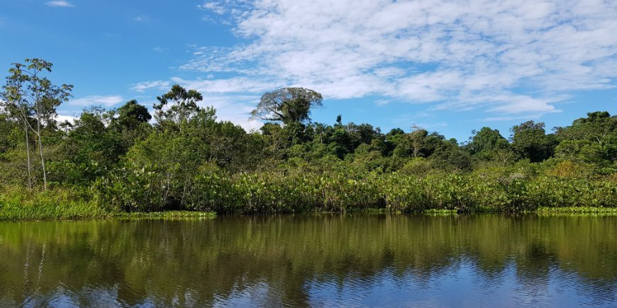 River in Amazon