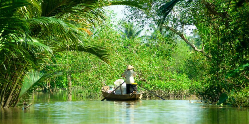 Mekongin suisto