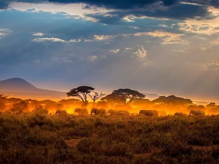 Karibu Kenia & rantaloma Mombasassa