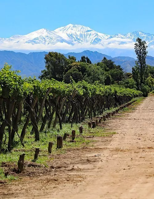 Chile & Argentiina: Andit, viinit & Iguassun putoukset
