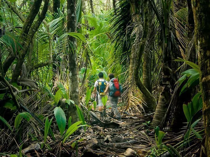 Costa Rica ja Corcovadon kansallispuisto