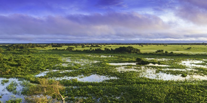 1 Pantanal Wetland Brazil R