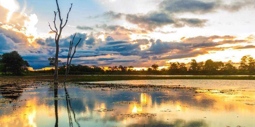 10 Pantanal Wetland Brazil R