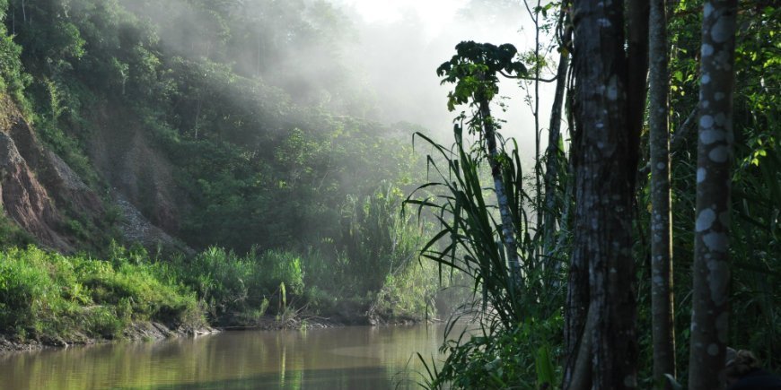 Amazon Madre de Dios River