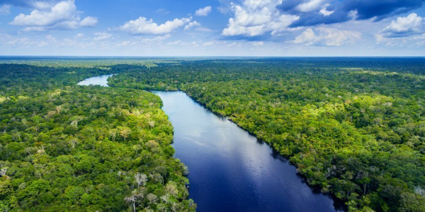 Amazon, Manaus