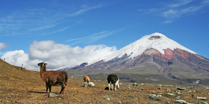 Cotopaxi