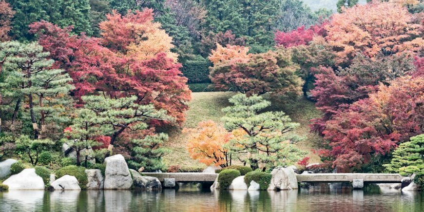 Koyo sisään Hiroshima