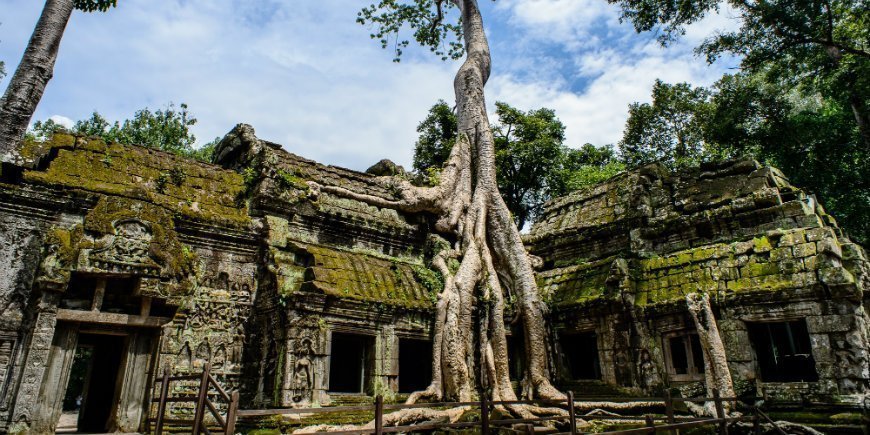 Ta Prohm-temppeli