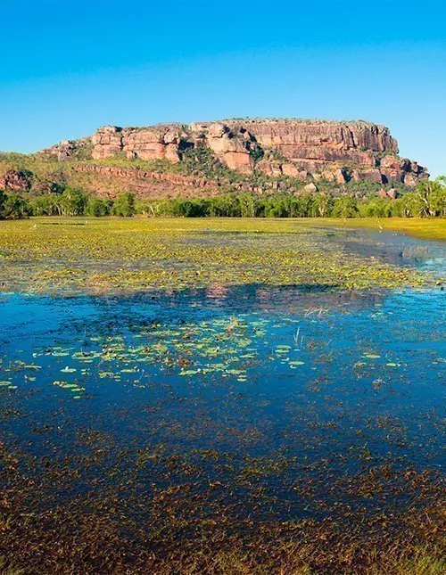Darwin, Sydney ja Cairns