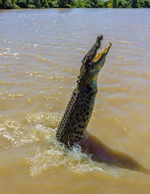 Darwin, Sydney ja Cairns