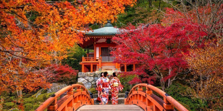 Nuoria naisia pukeutuneina perinteiseen japanilaiseen Yukataan Daigo-jin temppelissä syksyllä 