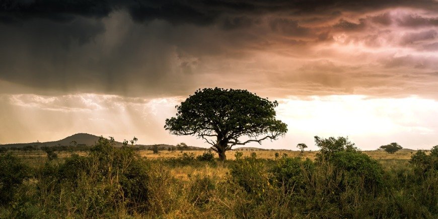 Dramaattisia sadepilviä maiseman yllä Serengetissä Tansaniassa 