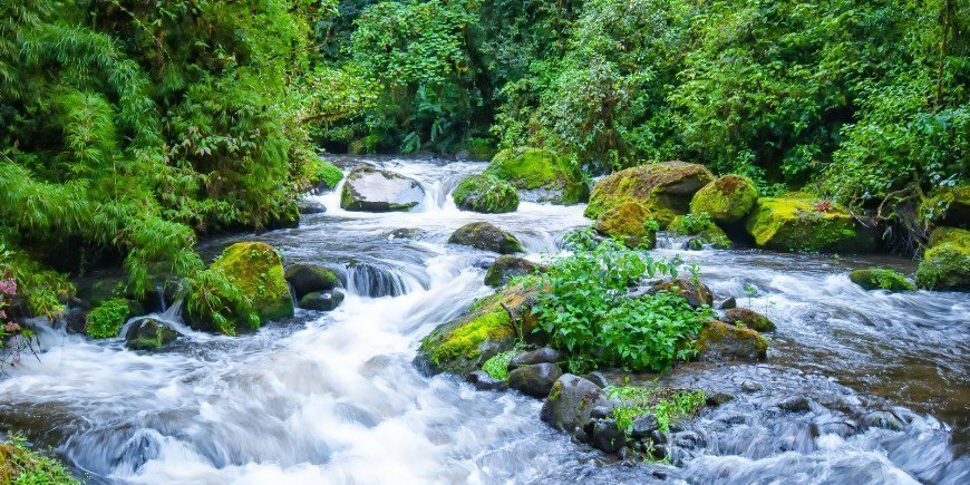 Savegrejoki Manuel Antoniossa Costa Ricassa 