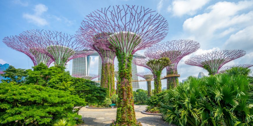 Gardens by the Bay, Singapore