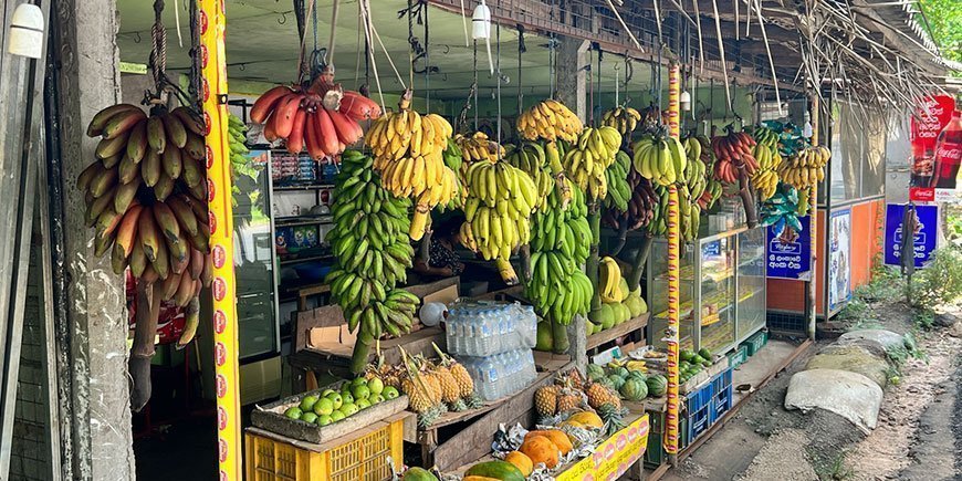 Tienvarsikoju, jossa myydään erivärisiä banaaneja