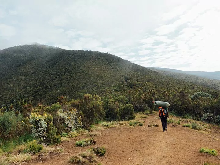 Oppaiden ja kantajien työolosuhteet, Kilimanjarolla