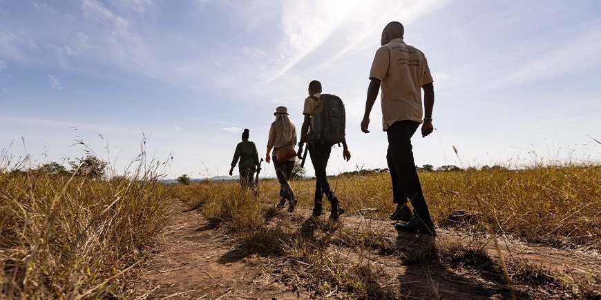 Ryhmä ihmisiä kävelemässä savannilla Tansaniassa