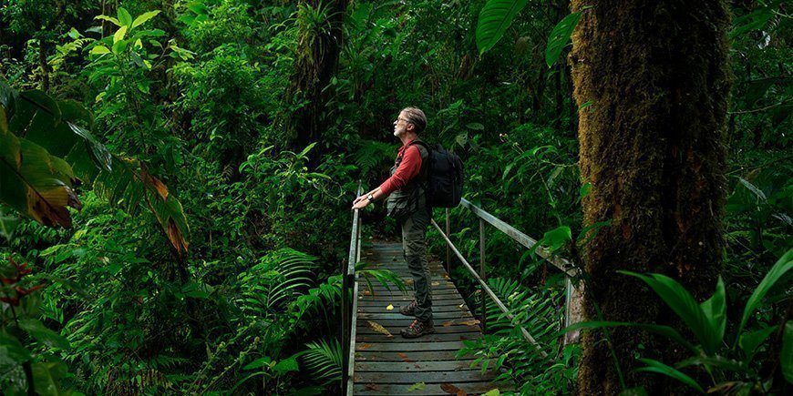 Mies seisoo sillalla Costa Rican viidakossa.