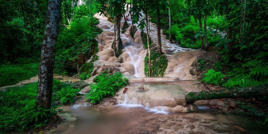 Bua Tong Sticky -vesiputous Chiang Maissa