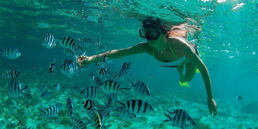 Nainen snorklaamassa Intian valtameressä Mauritiuksen edustalla.