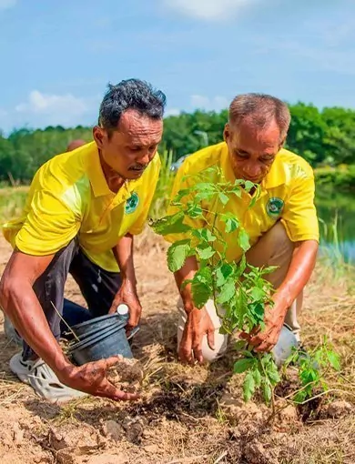 Santhiya – ympäristövastuullinen majoitusvaihtoehto Thaimaassa