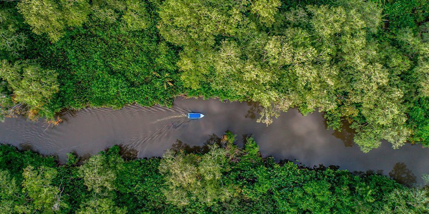 Rio Sierpe -joki ylhäältä katsottuna Corcovadon kansallispuistossa Costa Ricassa.