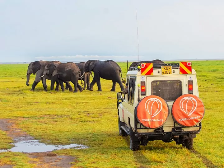 Kenian safari & gorillojen jäljitys Ugandassa