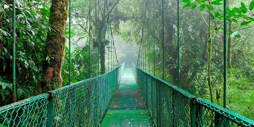 Sumu ympäröi riippusiltaa Monteverdessä, Costa Rica