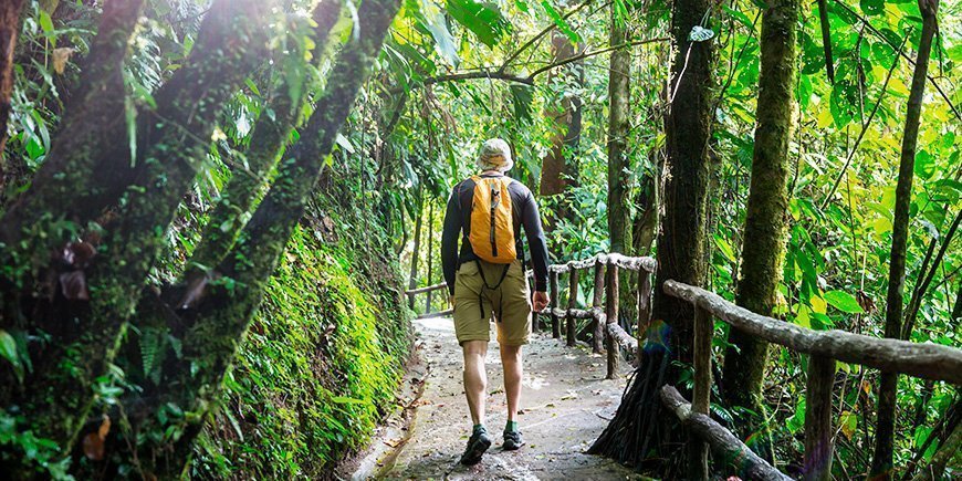 Mies kävelee yhdessä Costa Rican upeista vihreistä kansallispuistoista